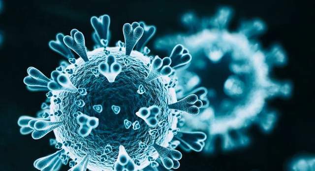 疫情冲击下的住宿餐饮等服务行业：影响几何与应对之策？