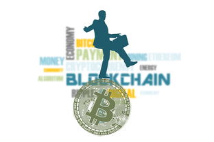 广西百色疫情溯源：病毒源头追踪及传播路径分析