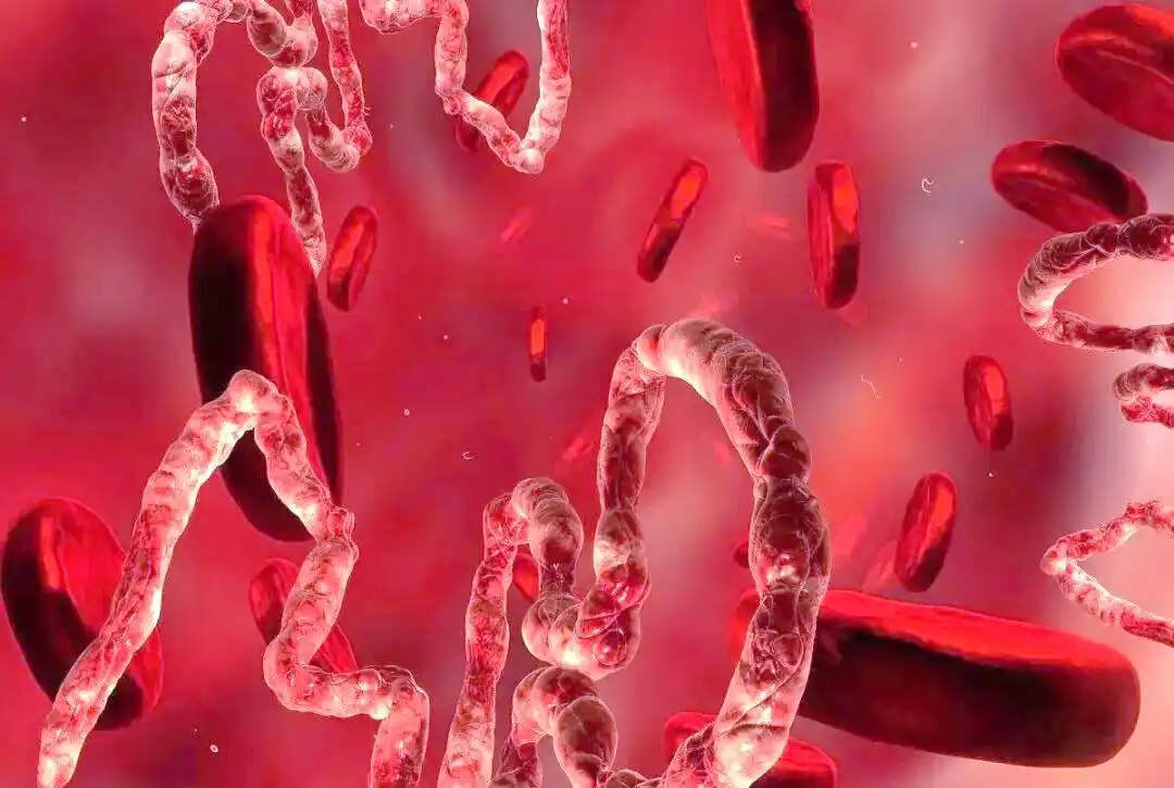 近十年全球病毒疫情趋势_疫情挑战_冠状病毒族群传播特点