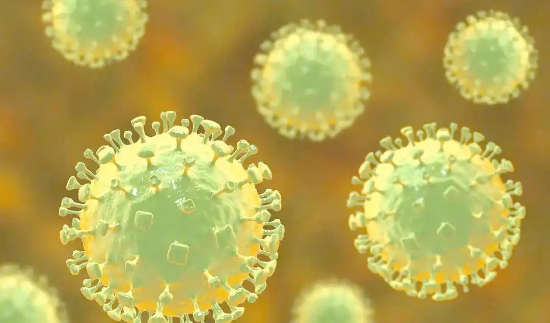 疫情挑战_冠状病毒族群传播特点_近十年全球病毒疫情趋势