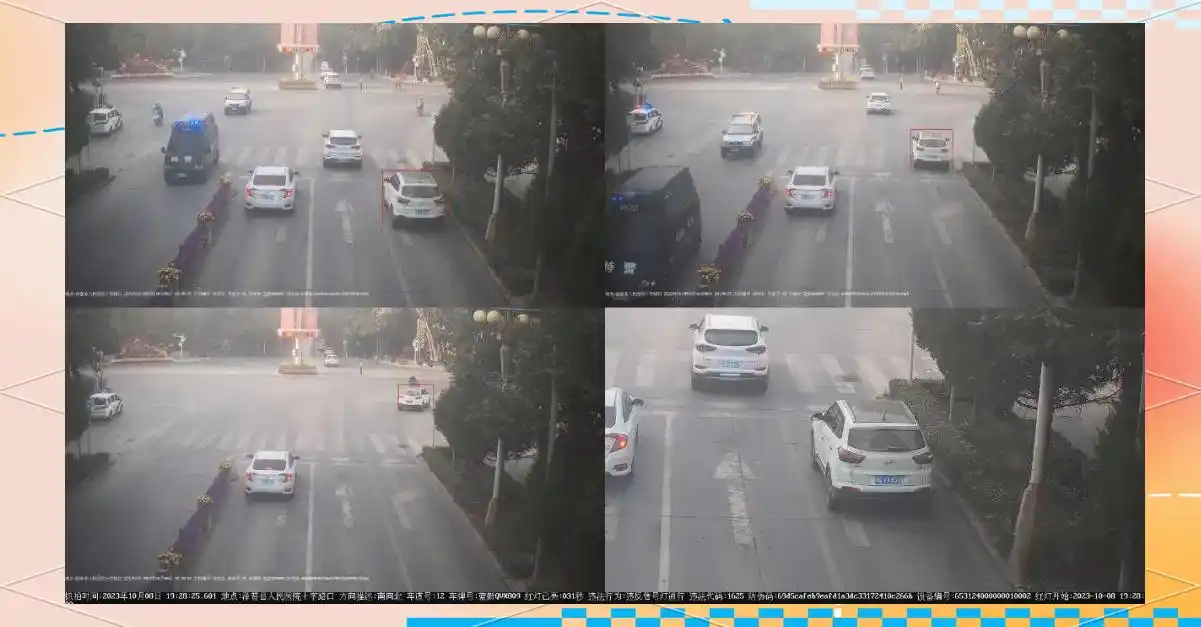 交通违法行为曝光案例_违章警示_未系安全带交通违法案例