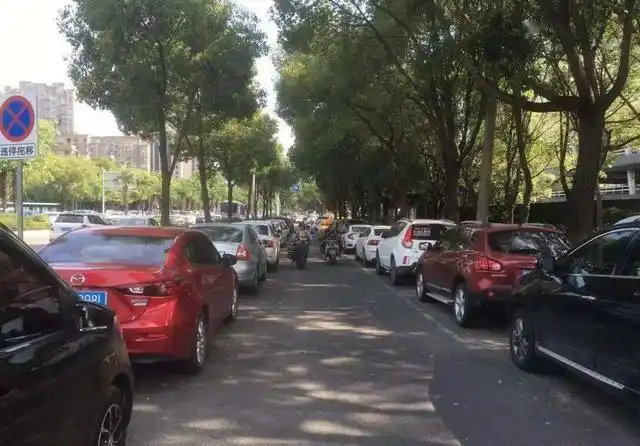 违章高发区域_开车易违章罚款地点_老司机避坑指南