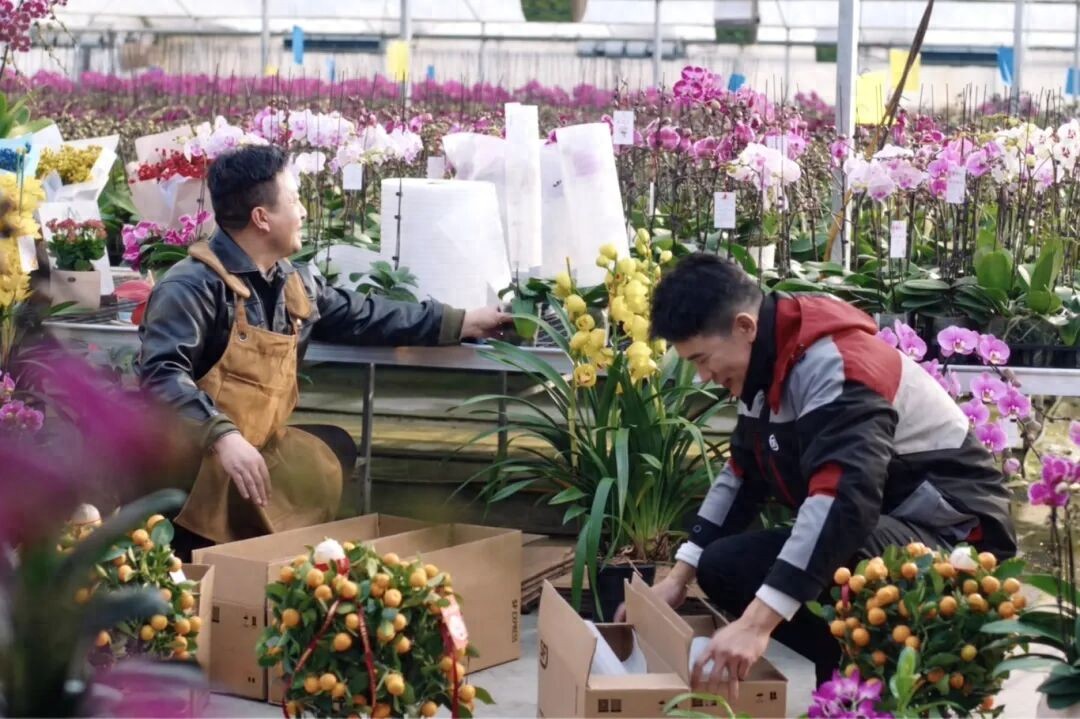 年关将近快递停运影响几何？各企业春节运营方案大不同