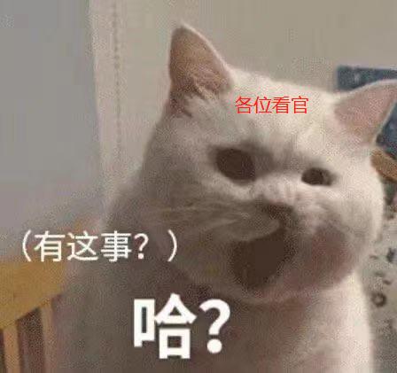 王者荣耀透视挂_透视自瞄辅助外挂_王者荣耀自瞄挂